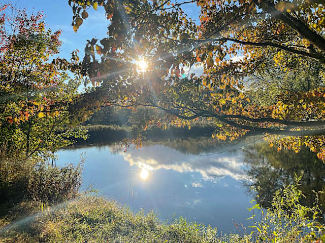 Sunlight streaming through colorful autumn leaves reflected in a calm pond
