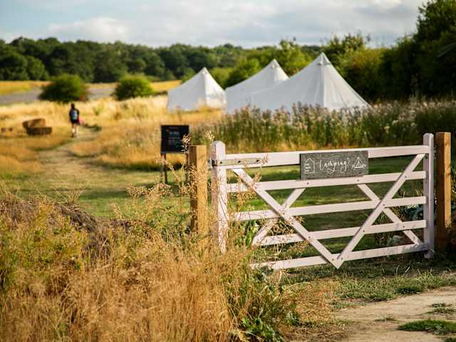 White wooden gate marked camping with glamping tents and golden field beyond