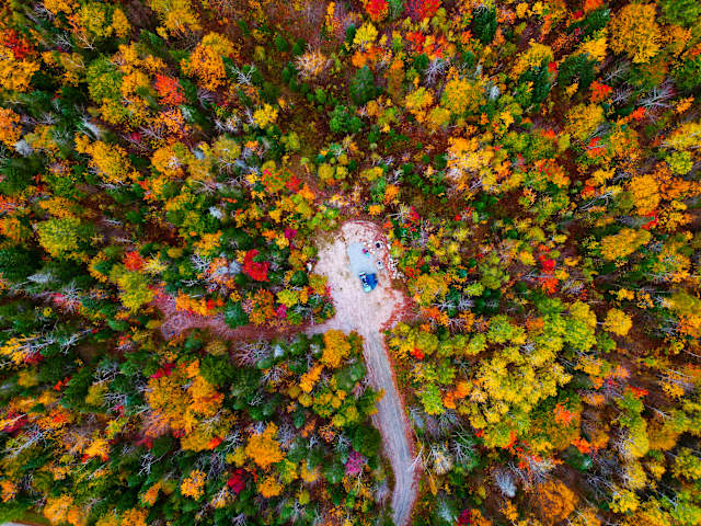 Aerial view of small campsite clearing surrounded by vibrant autumn forest canopy