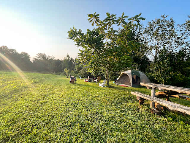 Sunlit meadow with tent, picnic table and camp chairs under a tree at golden hour