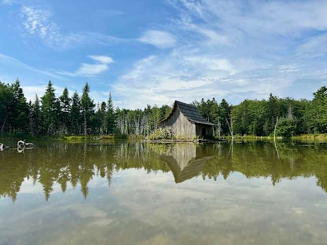 Weathered wooden cabin on stilts over still pond, forest reflection, blue sky