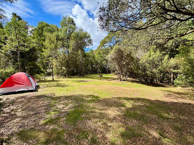 Red tent pitched in a grassy forest clearing with picnic table nearby