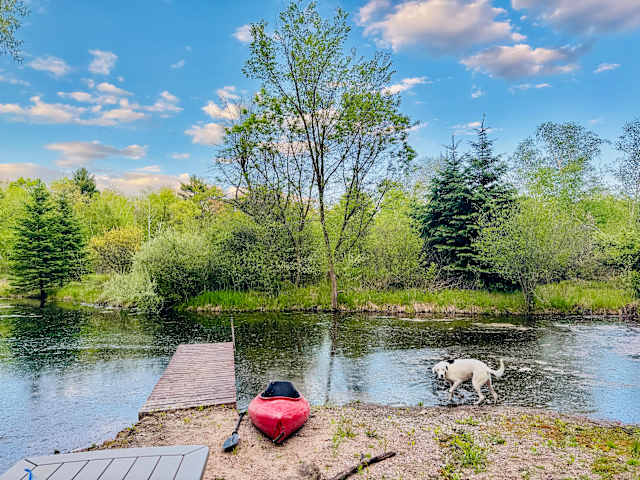 Red kayak on sandy bank beside dock as white dog wades into calm pond, spring foliage under blue sky