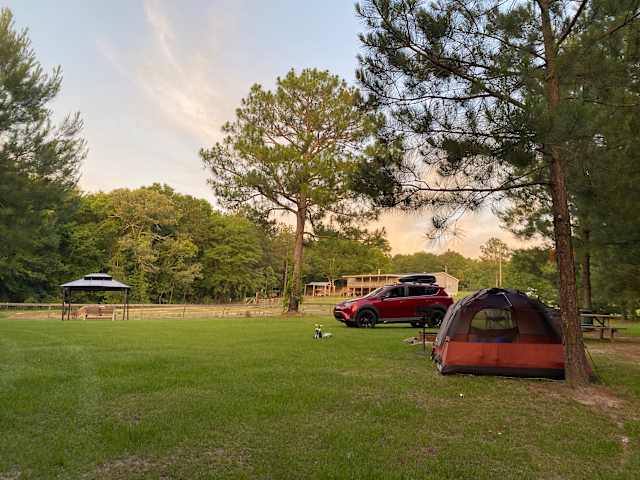 Tent and car parked in a grassy clearing at sunset, tall pines and cabins in the distance