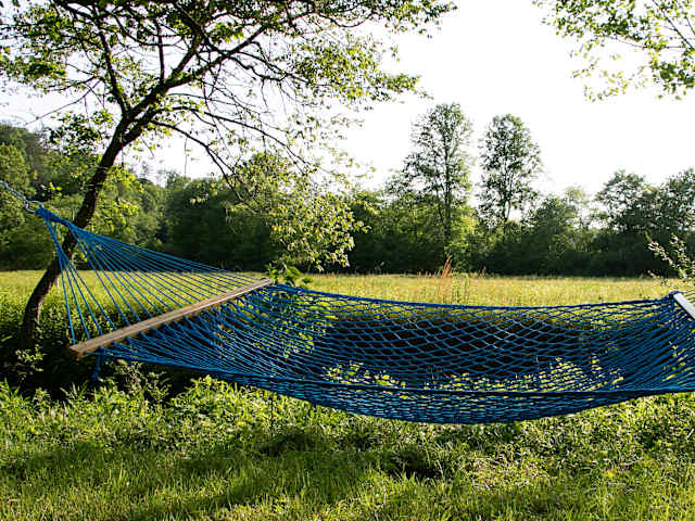 Blue rope hammock strung between trees in an open green meadow bordered by forest