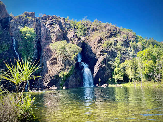 Waterfall cascading into a green swimming hole surrounded by rocky cliffs and palms, people swimming below