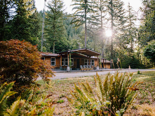 Log cabin in forest clearing with sunlight streaming through tall pines, ferns in foreground