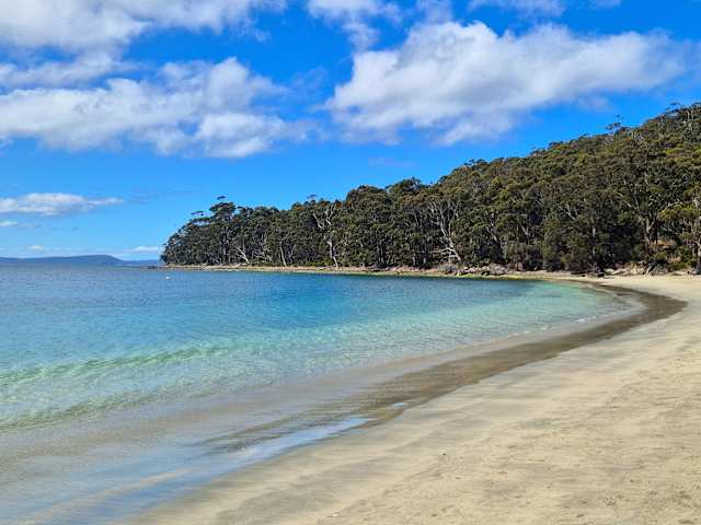 Curving white sand beach with turquoise water bordered by bushland under blue sky