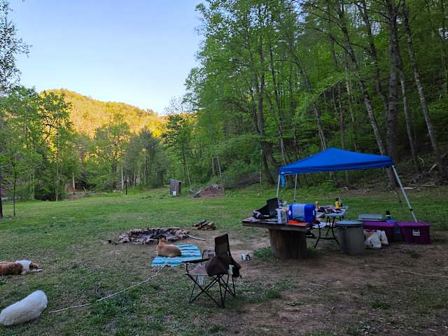 Campsite at dusk with dogs resting near tent, golden light on forested hills beyond