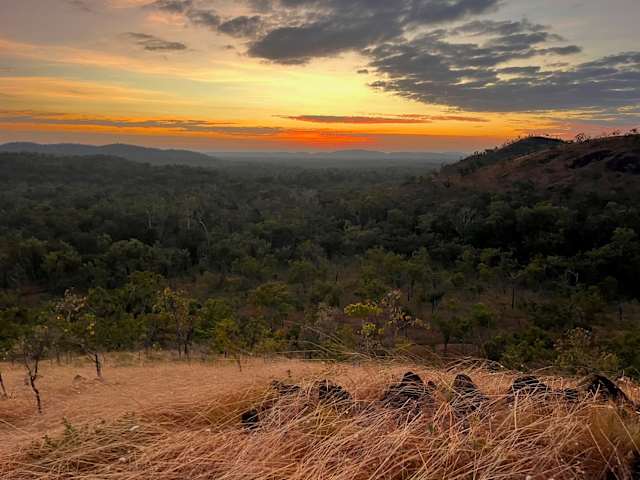 Wide view over forested hills at sunset with orange sky and golden grass foreground