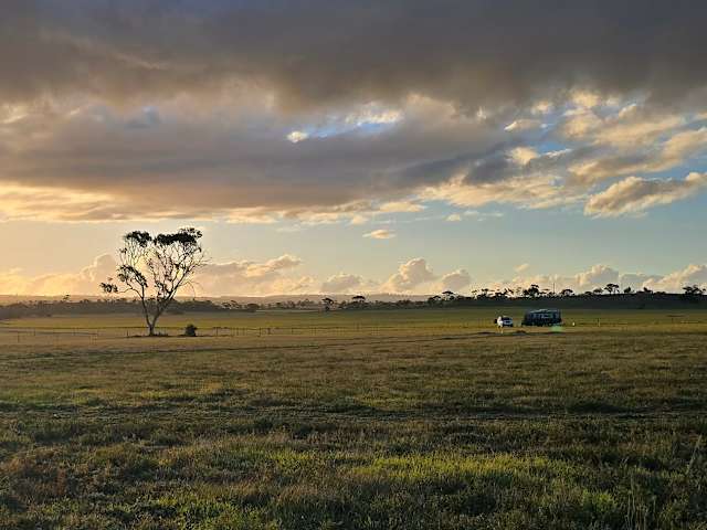 Sunrise over open paddock with solitary gum tree and distant campsite silhouette