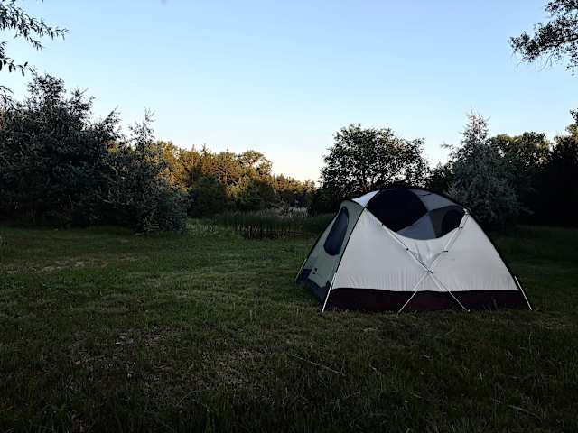 Small dome tent pitched in grassy clearing at dusk near tree line
