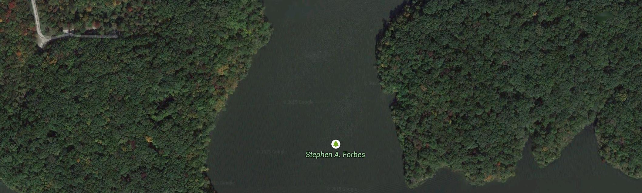 Stephen A. Forbes