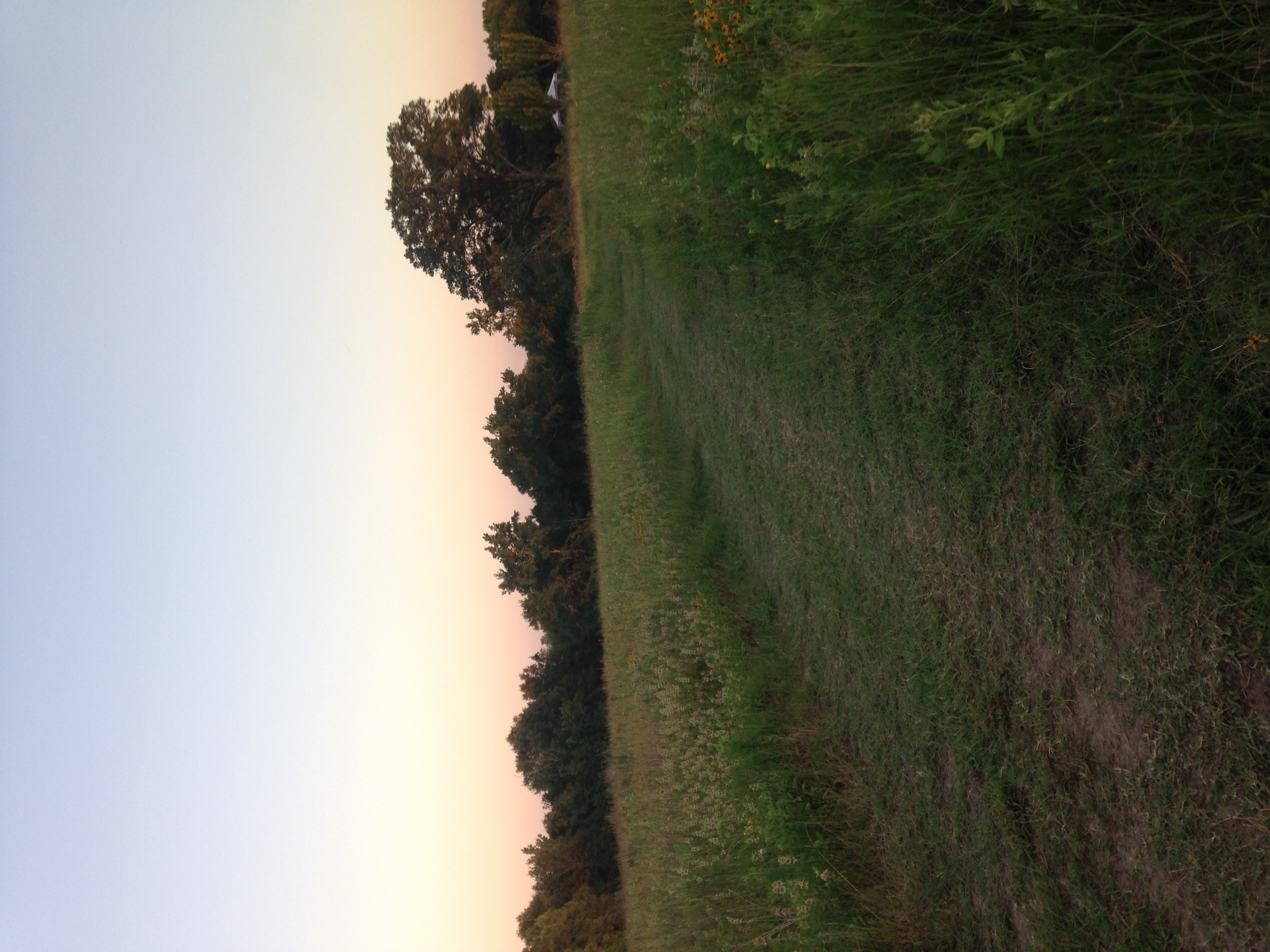 image from hipcamp, Sandy Ridge Camping