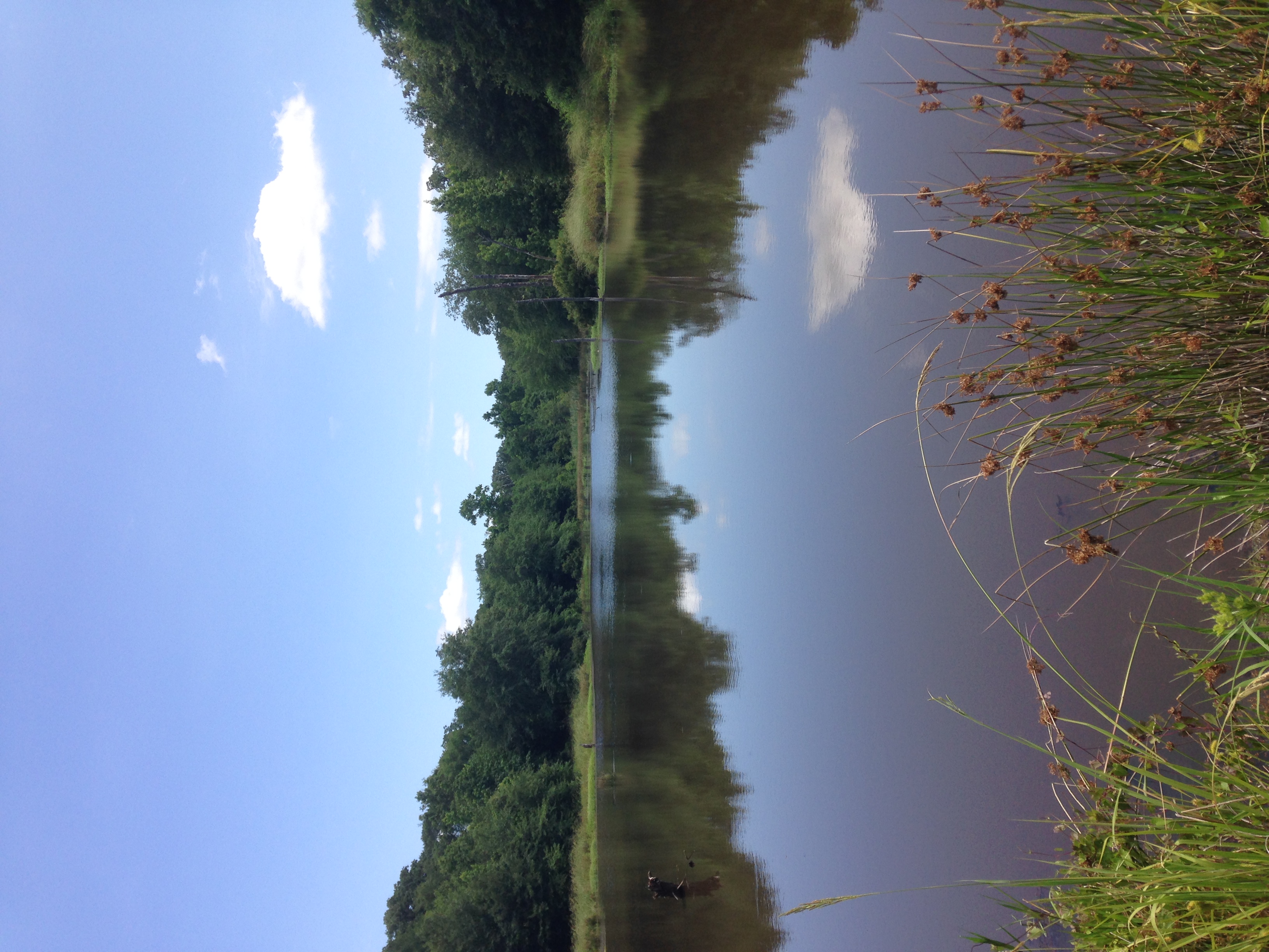 image from hipcamp, Sandy Ridge Camping