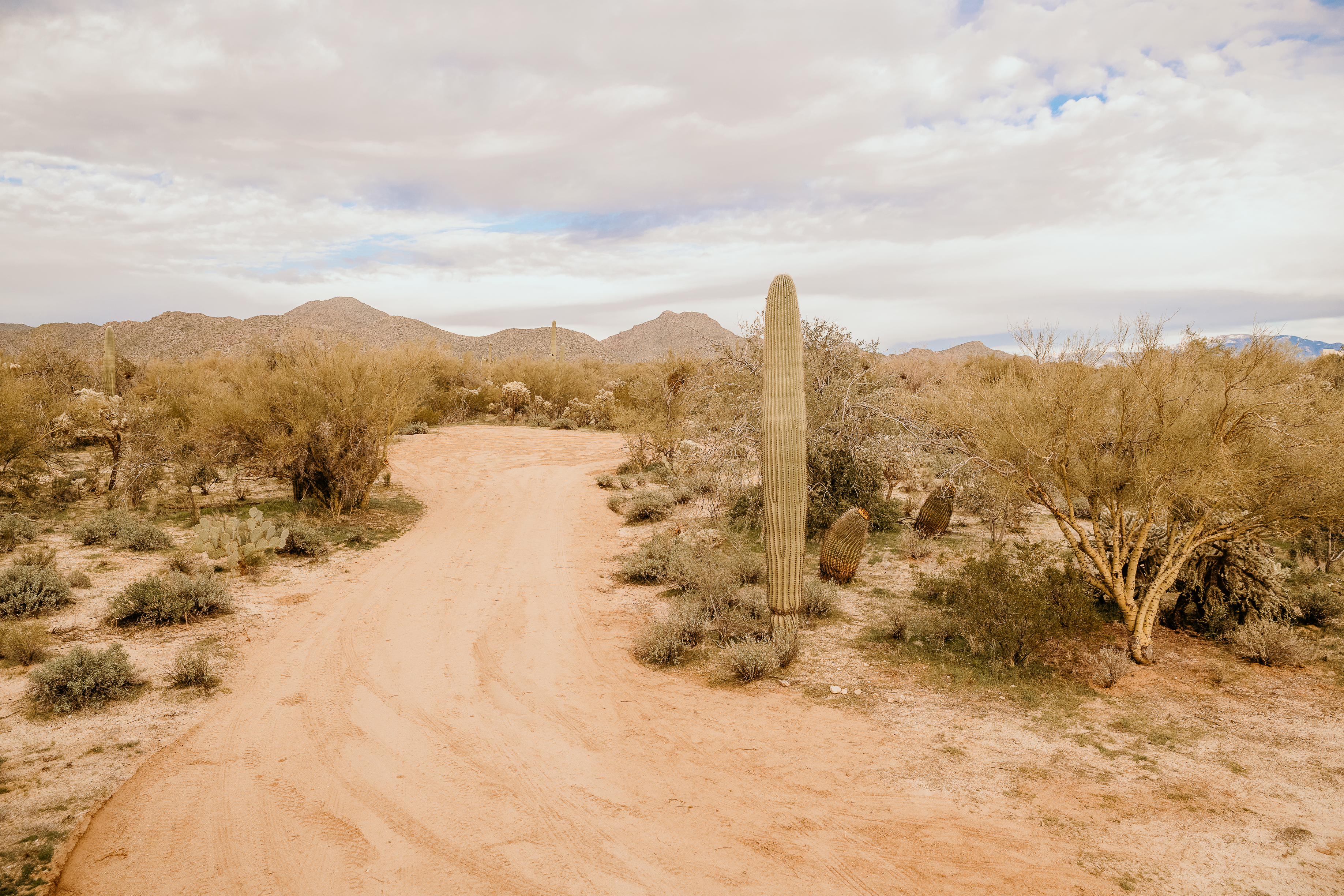 image from hipcamp, Wild Burro Desert Retreat