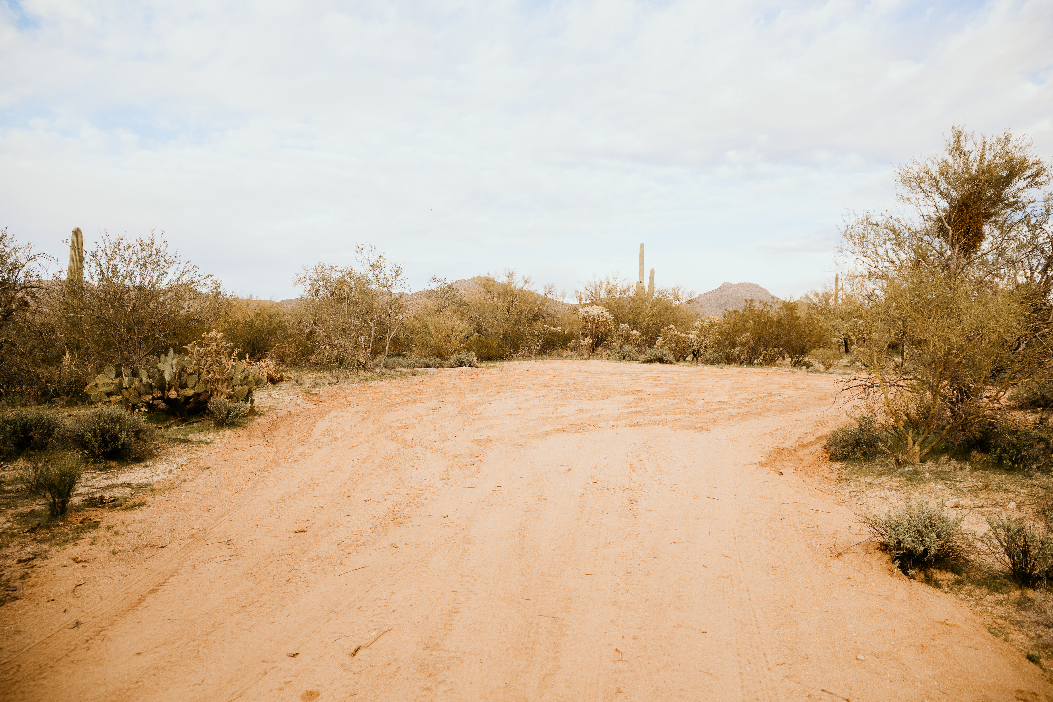 image from hipcamp, Wild Burro Desert Retreat