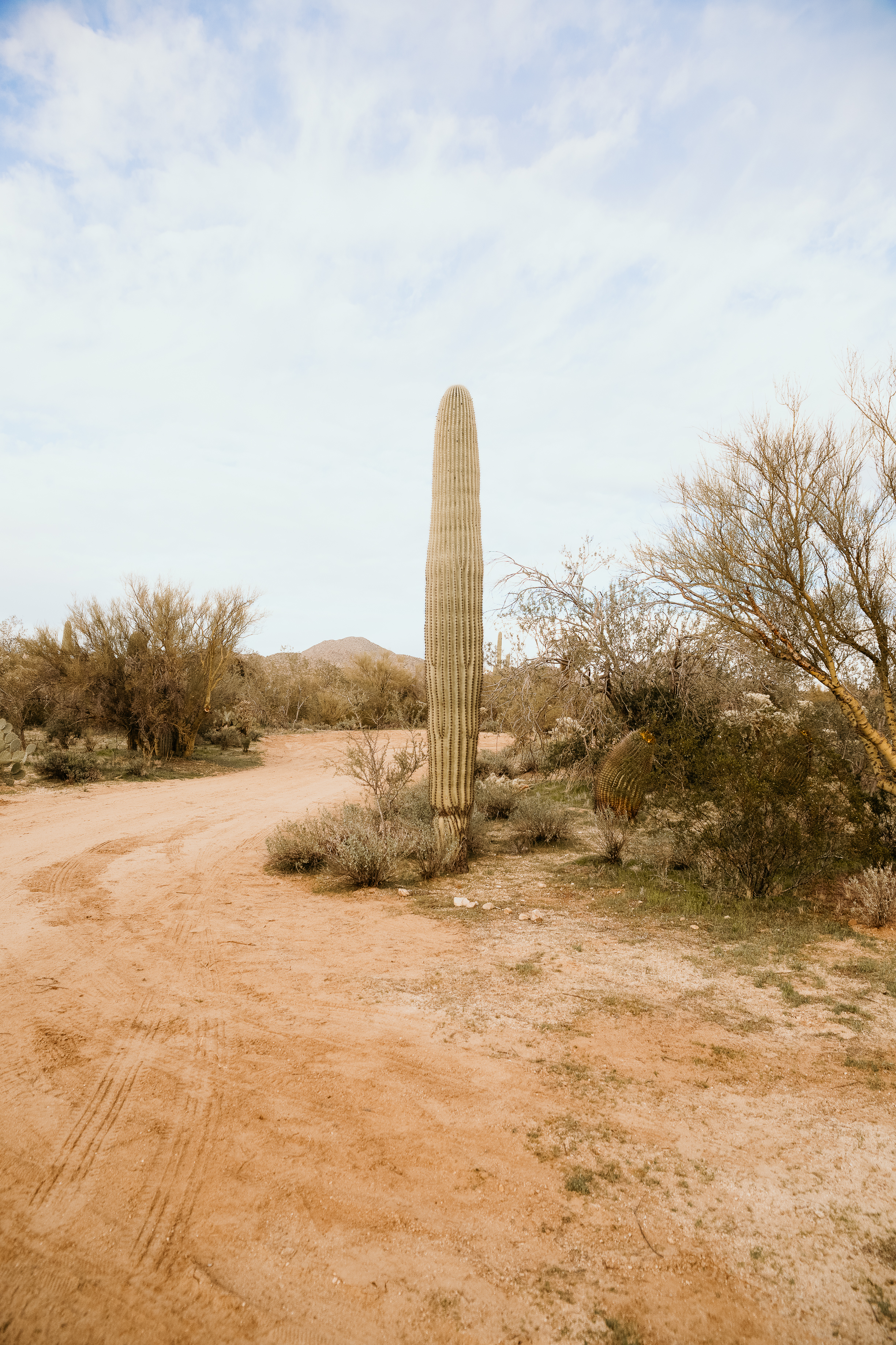 image from hipcamp, Wild Burro Desert Retreat