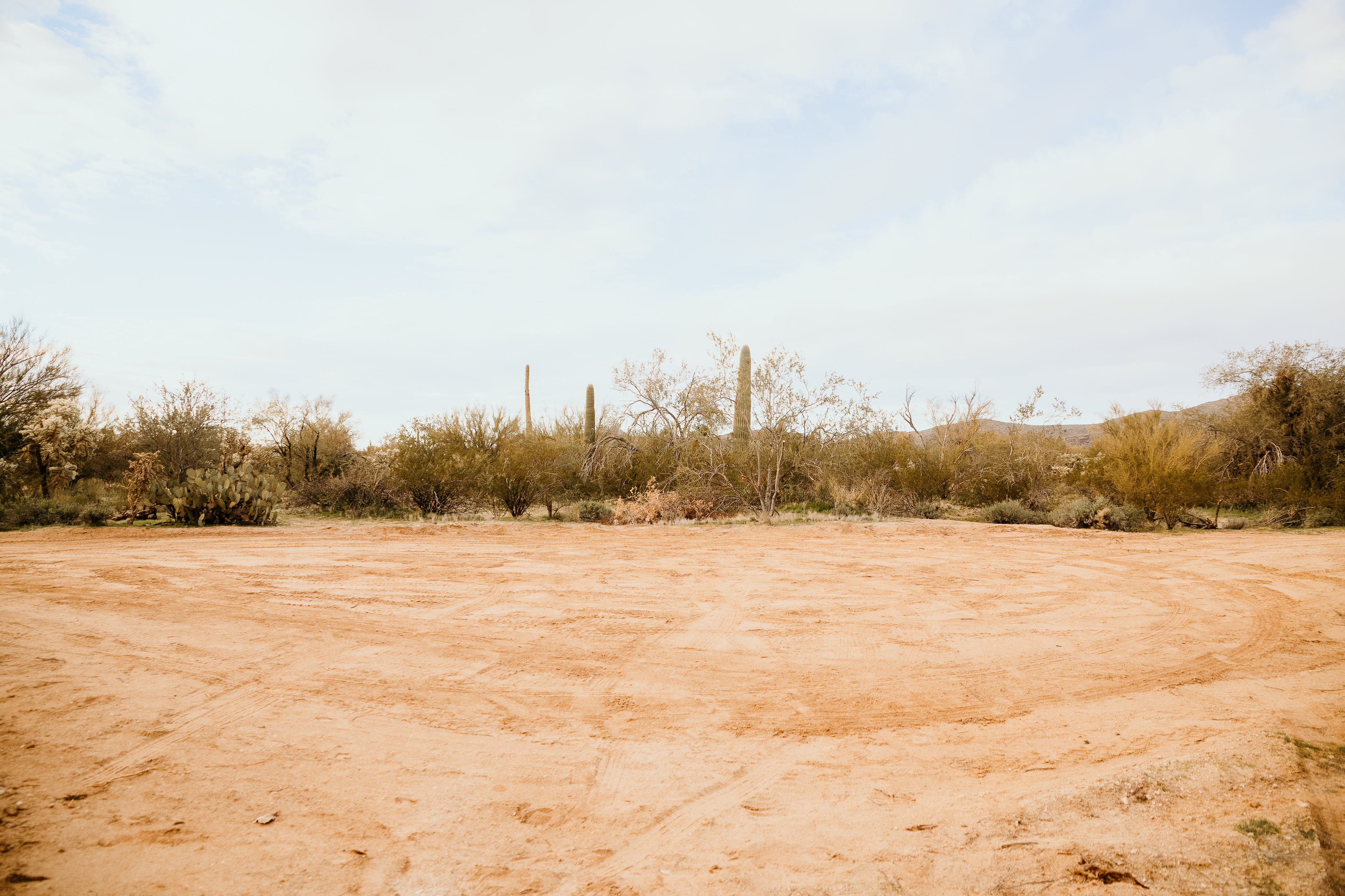 image from hipcamp, Wild Burro Desert Retreat