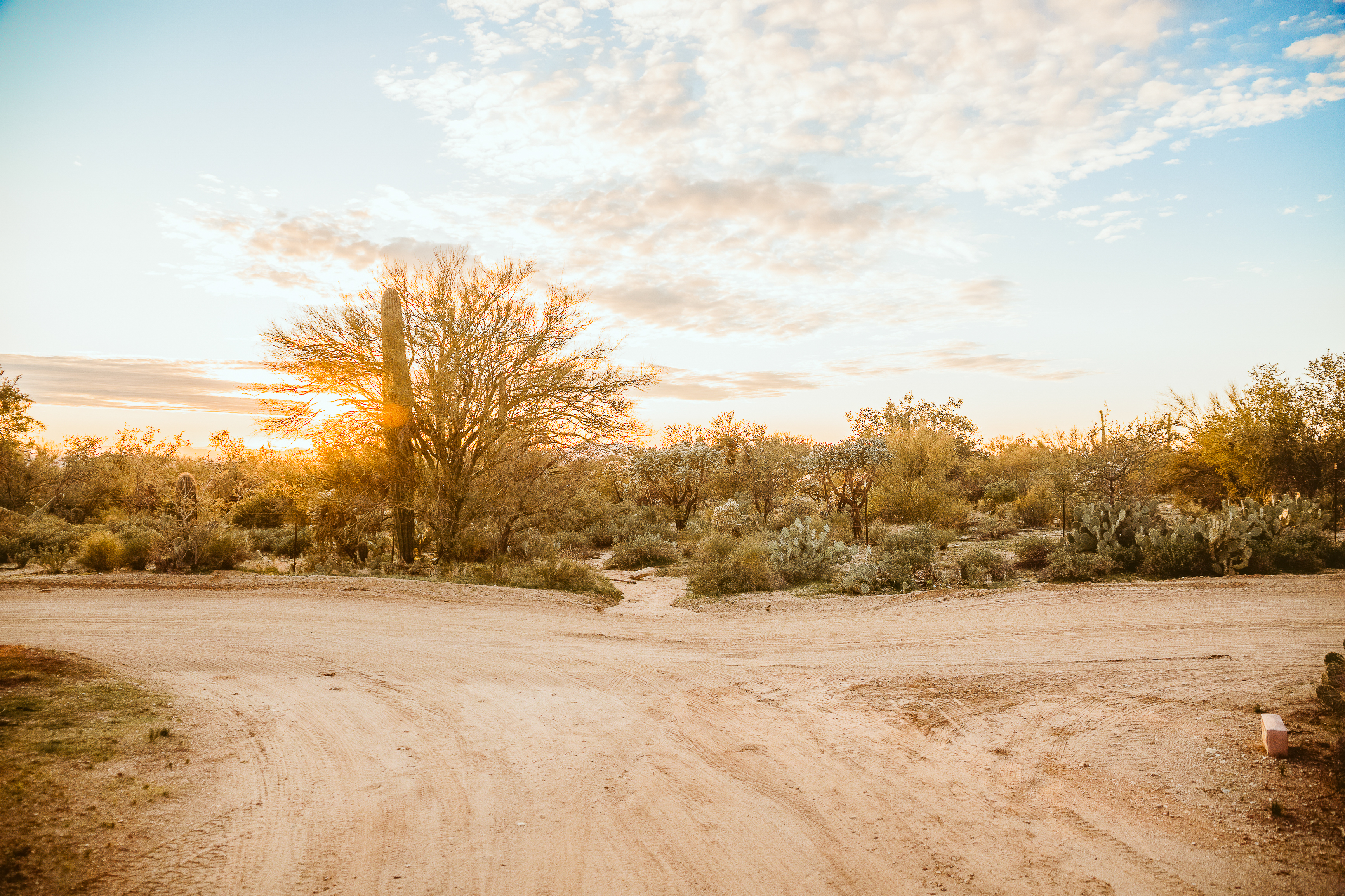 image from hipcamp, Wild Burro Desert Retreat