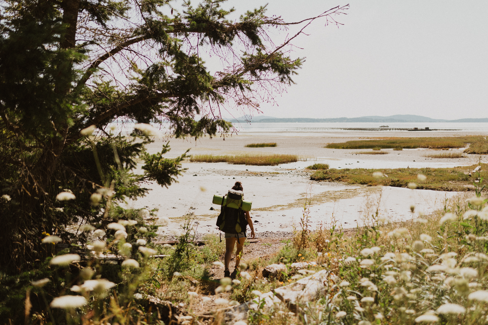 image from hipcamp, The Chuckanut Rock