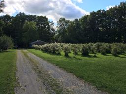 image from hipcamp, Blueberry Farm Campsites