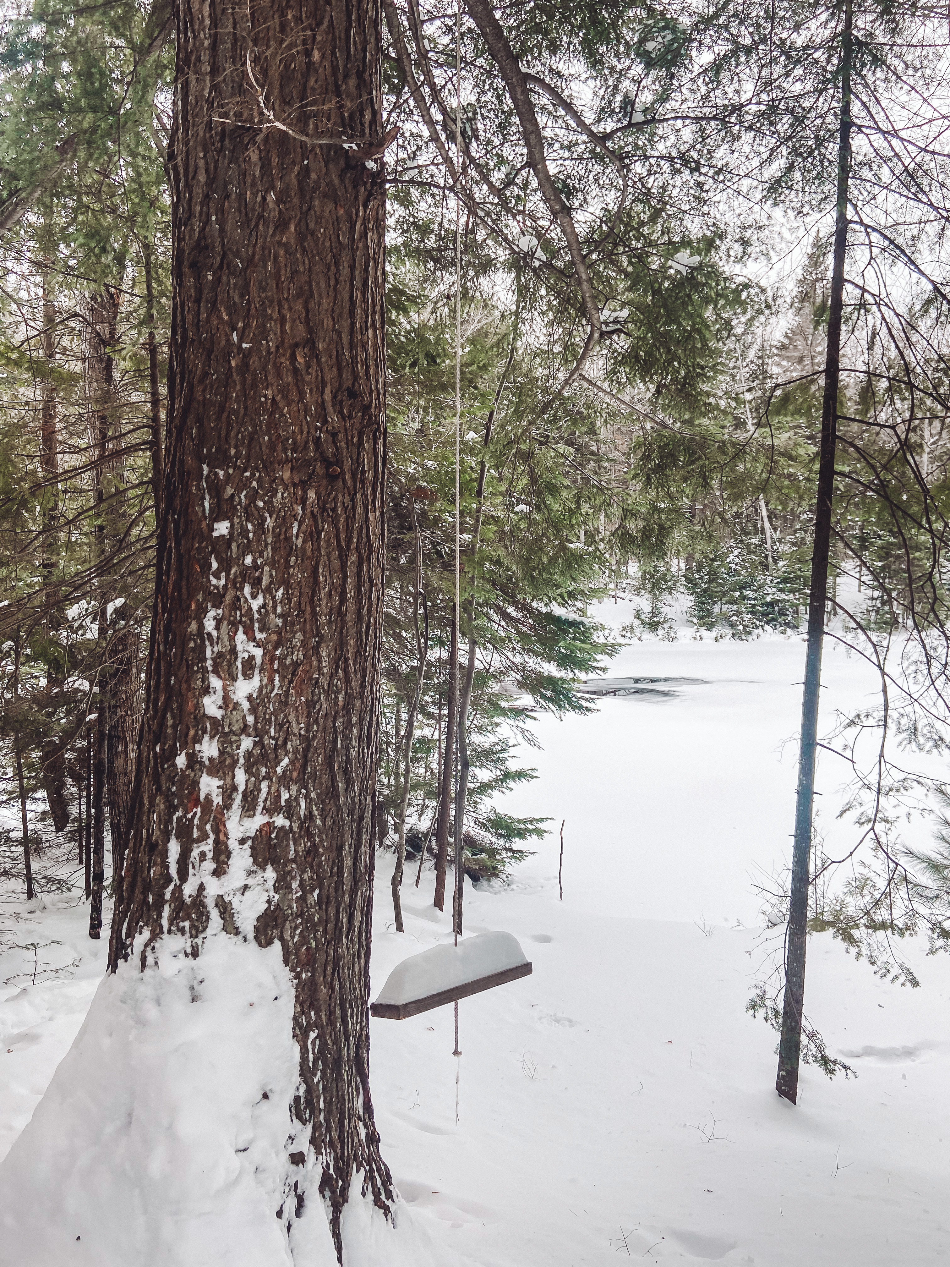 image from hipcamp, Bear Tree Homestead