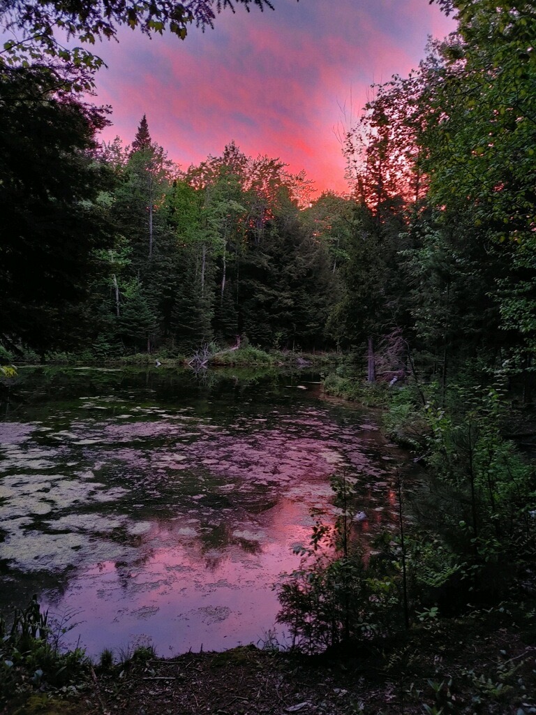 image from hipcamp, Bear Tree Homestead