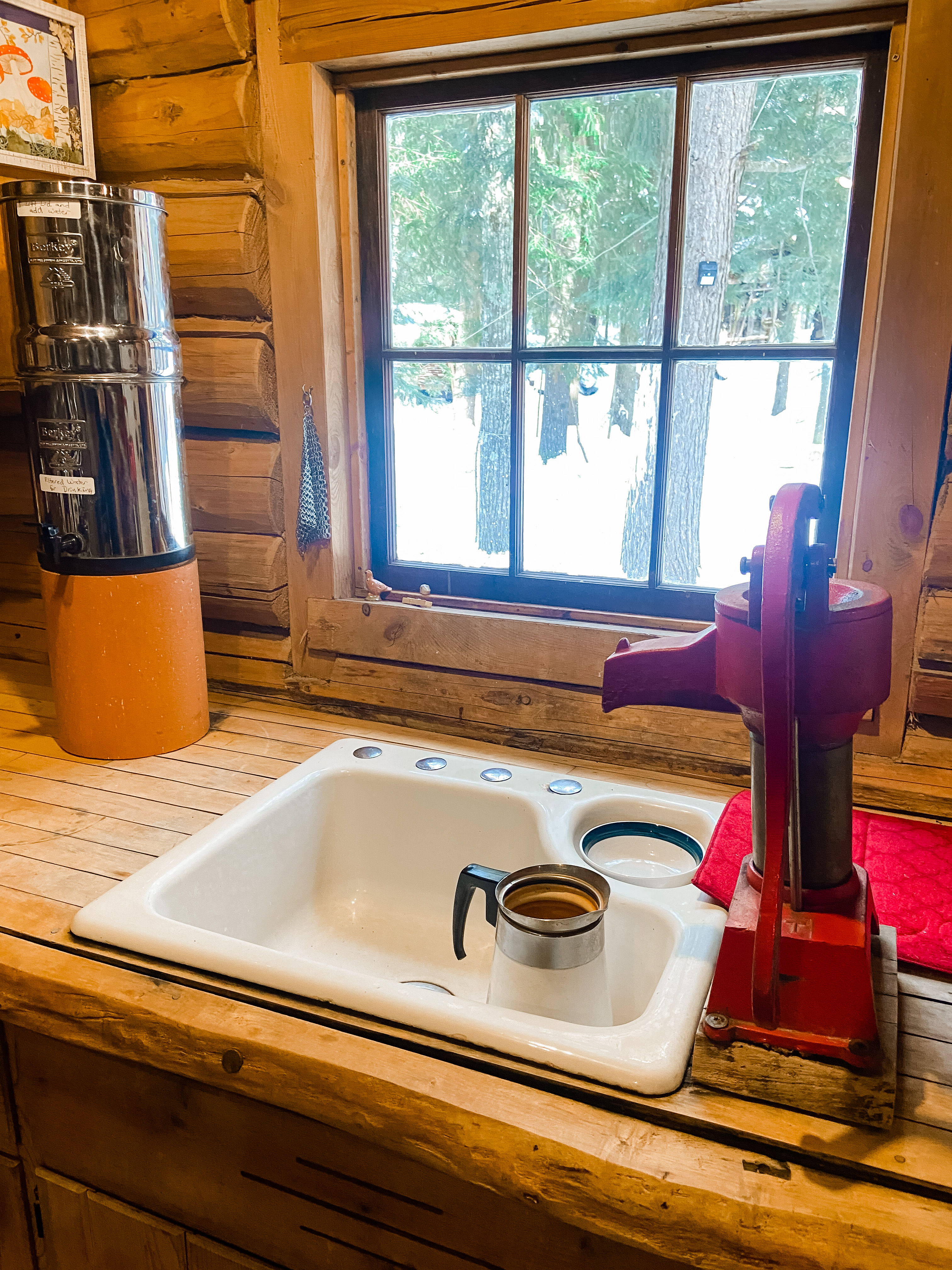 image from hipcamp, Bear Tree Homestead