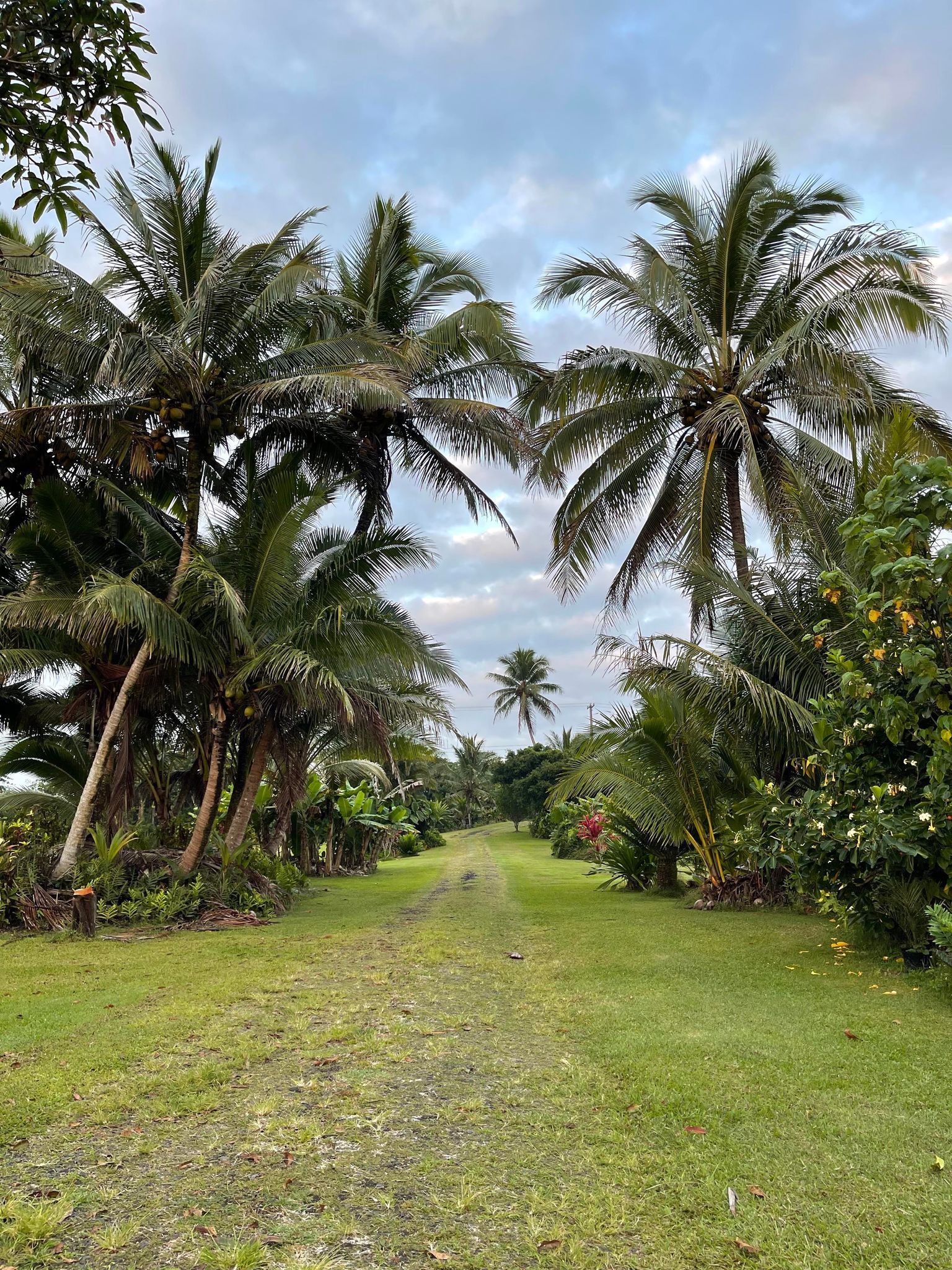 image from hipcamp, Wild Blue Water Ranch
