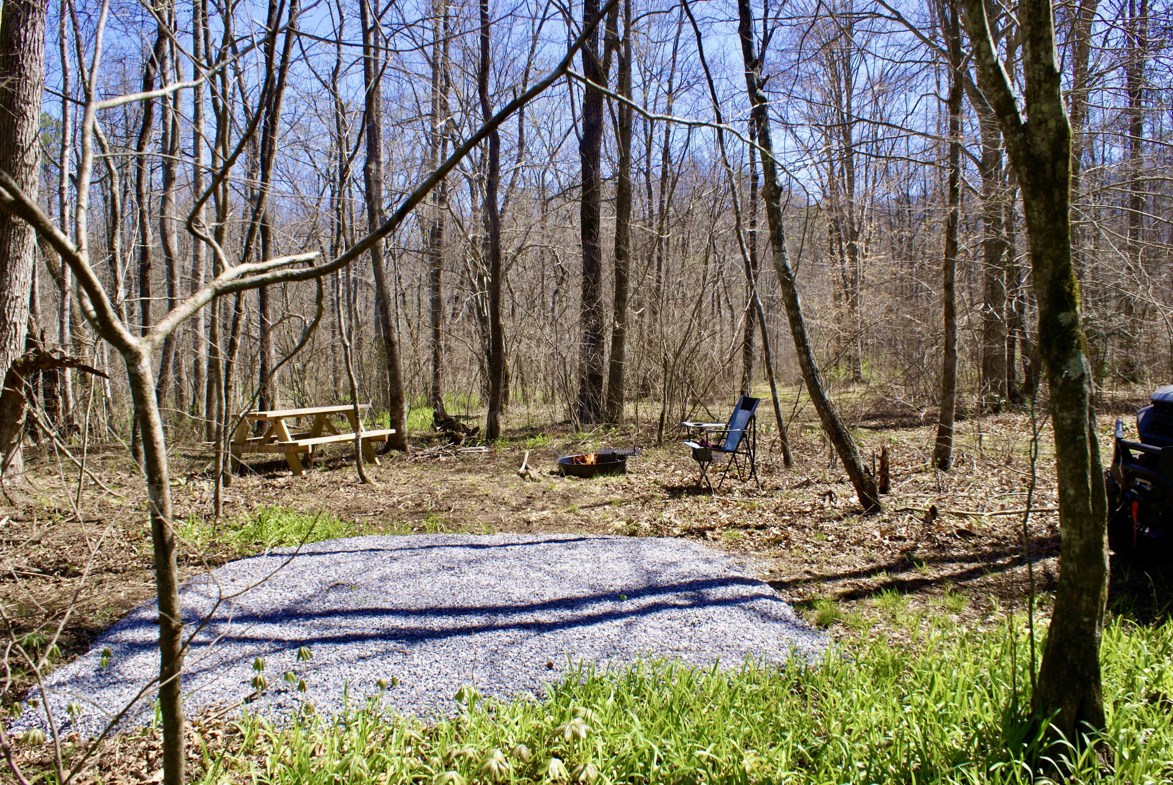 TangleWood Creekside Campsites - Main photo