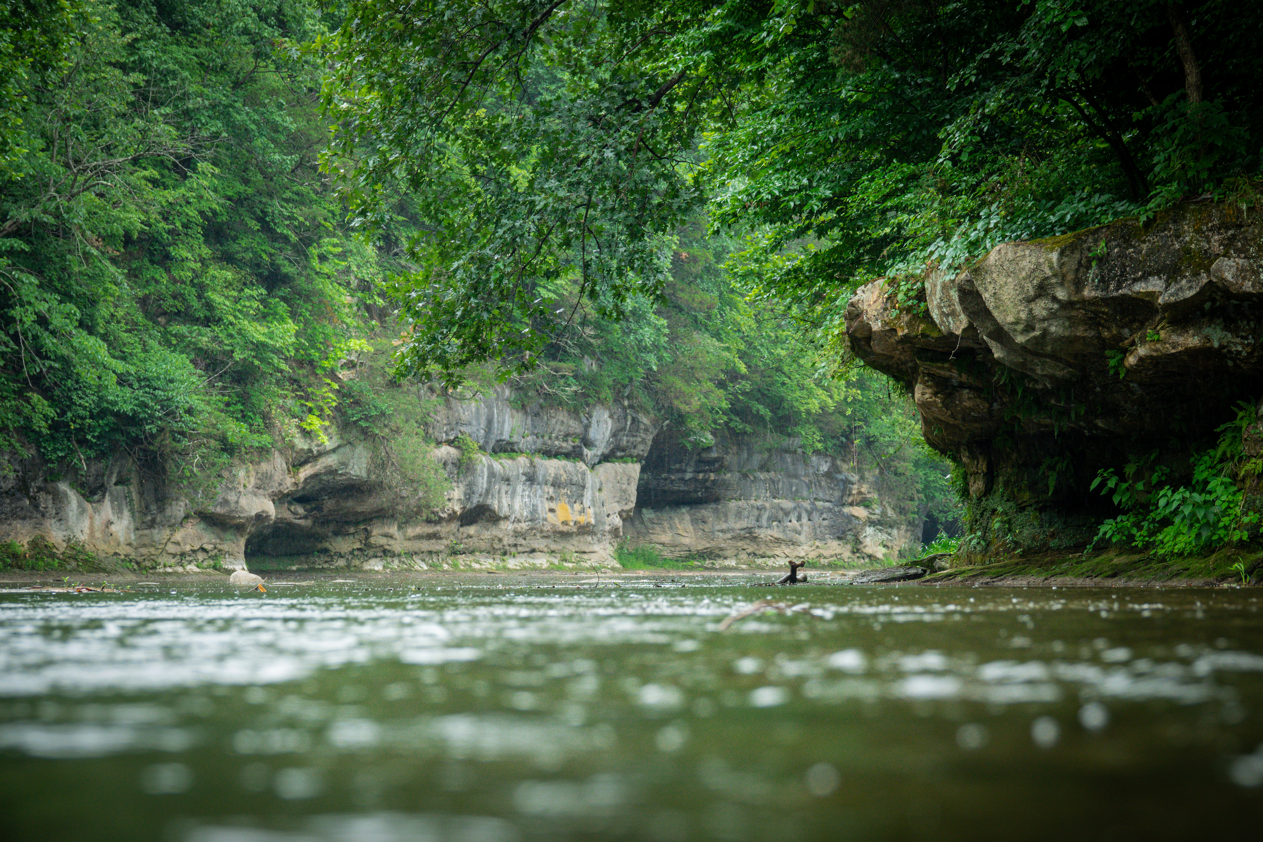image from hipcamp, Creek’s Bend Camp