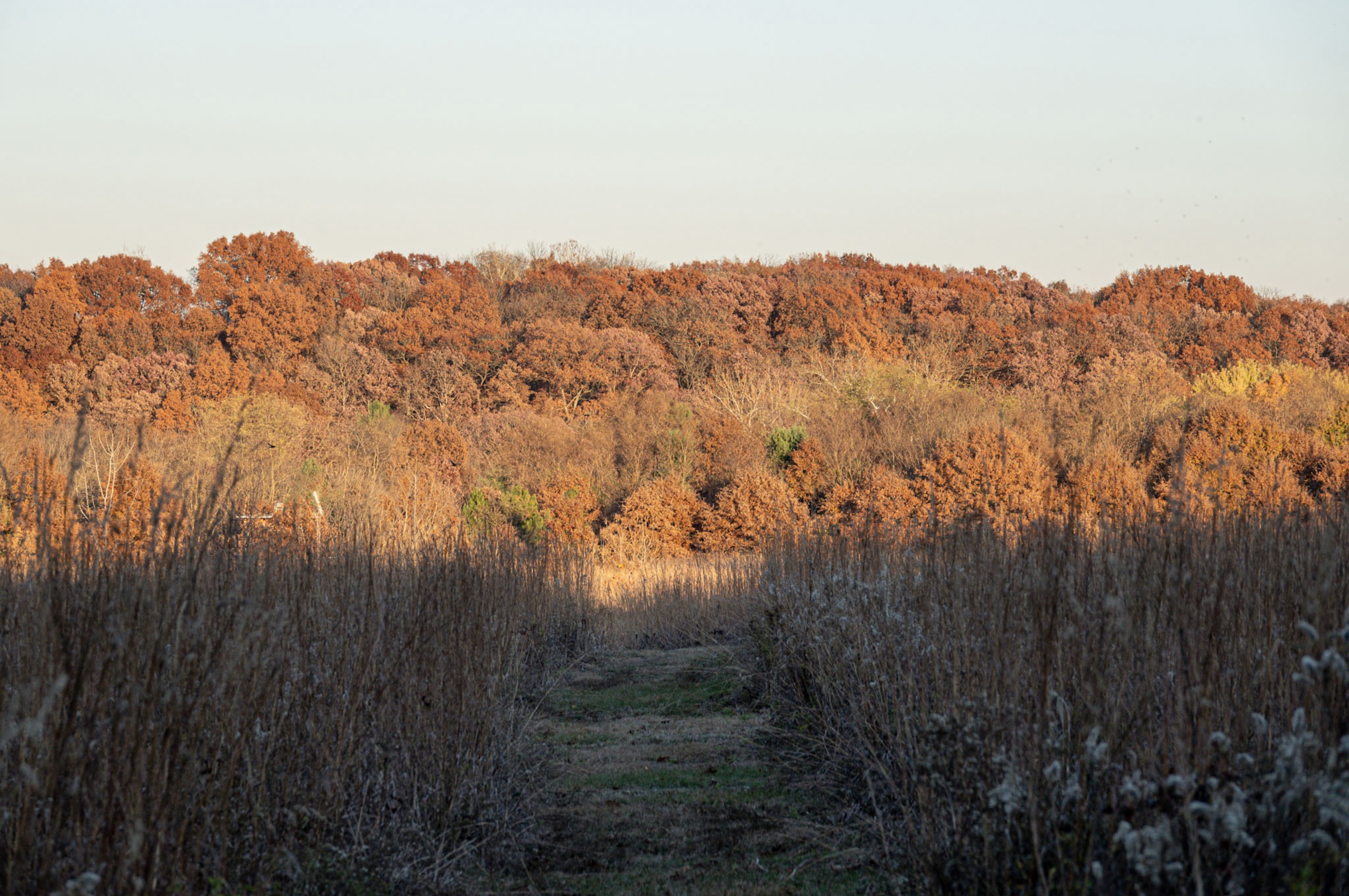 image from hipcamp, Creek’s Bend Camp