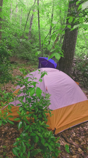 Earthwalk Ways Retreat