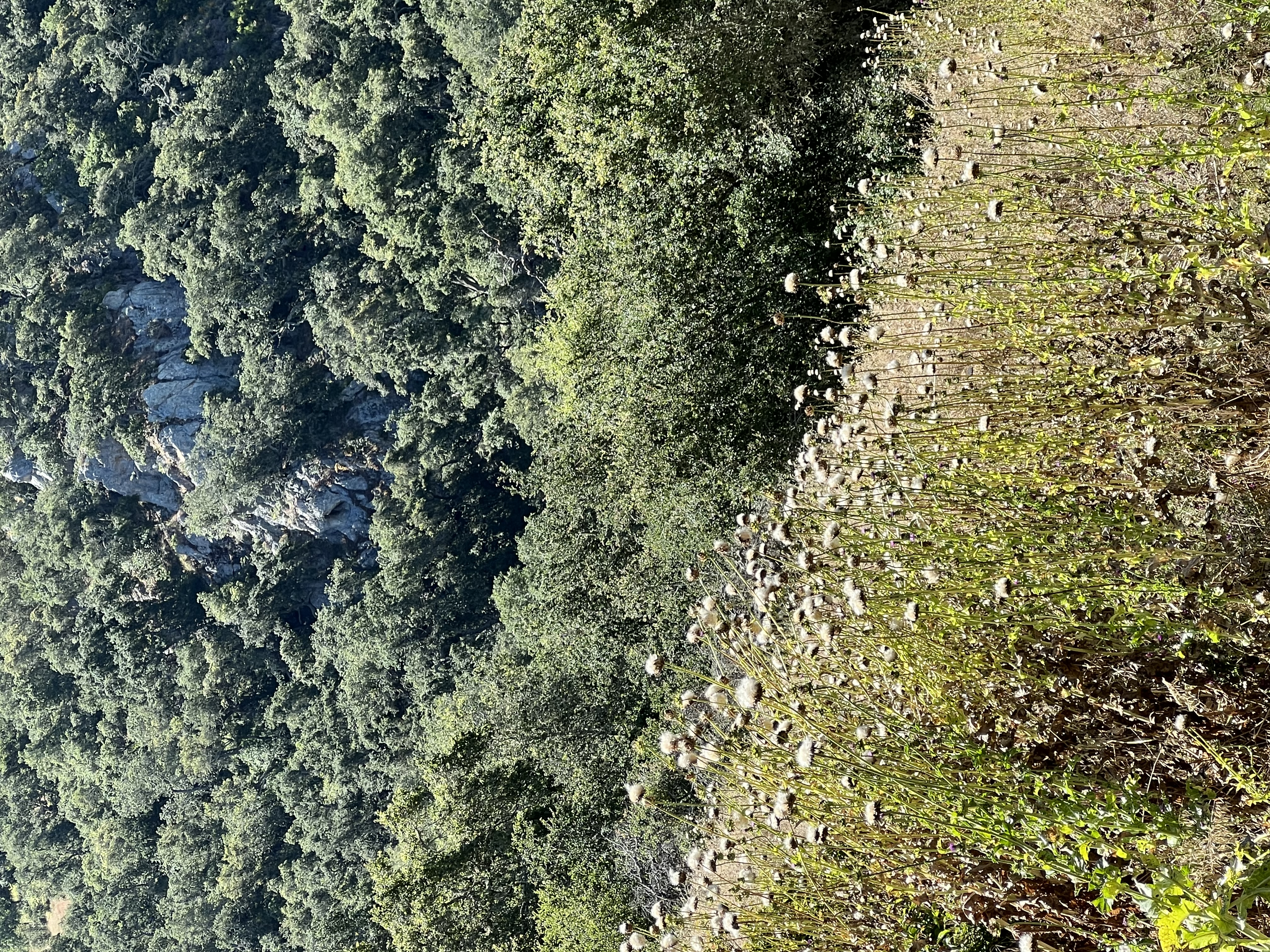 Arrowed Ground - Main photo