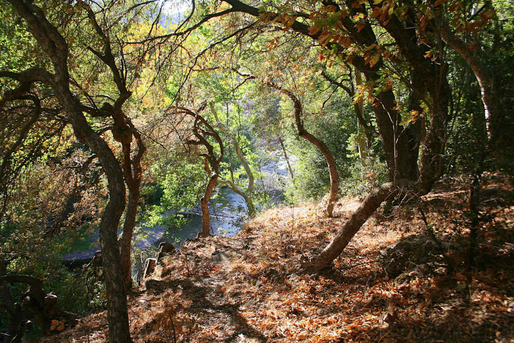 Buckeye Flat Campground