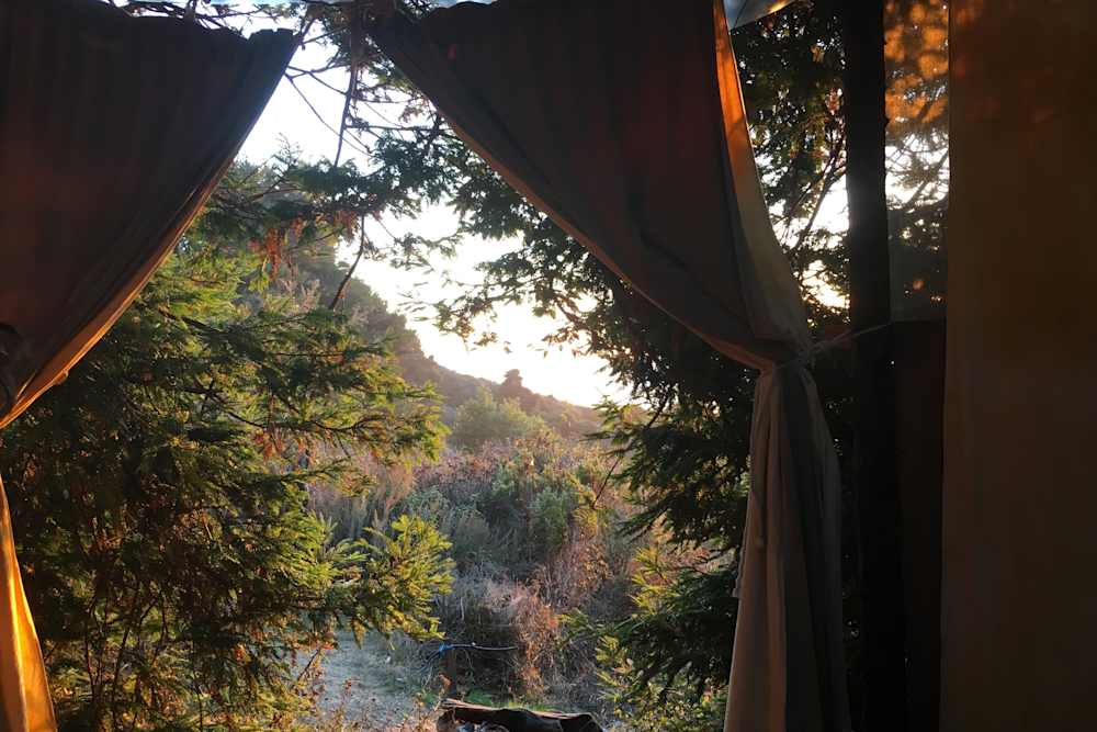 dabudage Big Sur