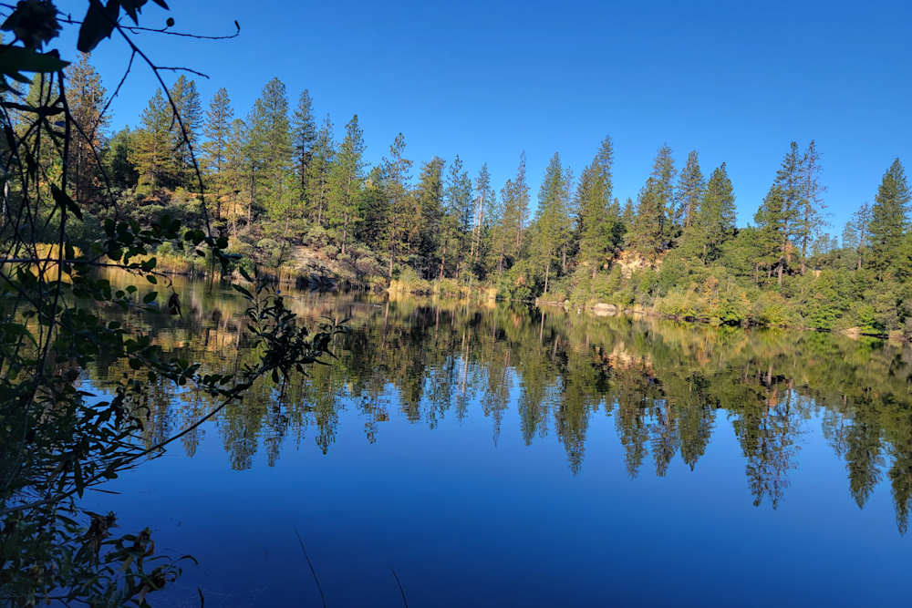 Peace in the Pines
