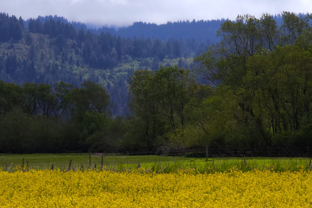 Farm Retreat at Hidden Meadow