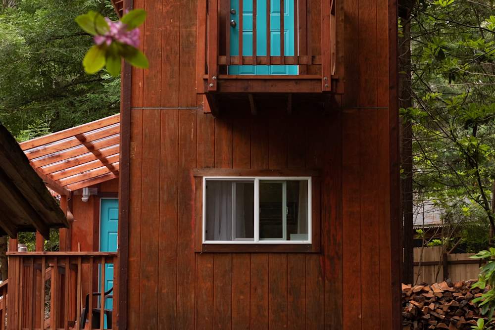 The cozy cabin