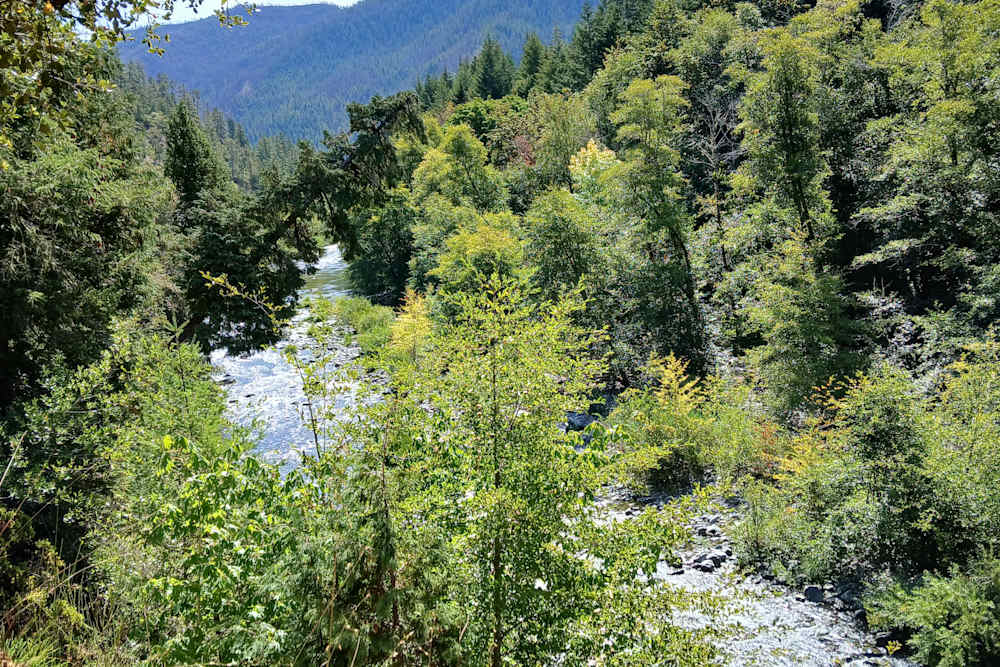 Azalea River