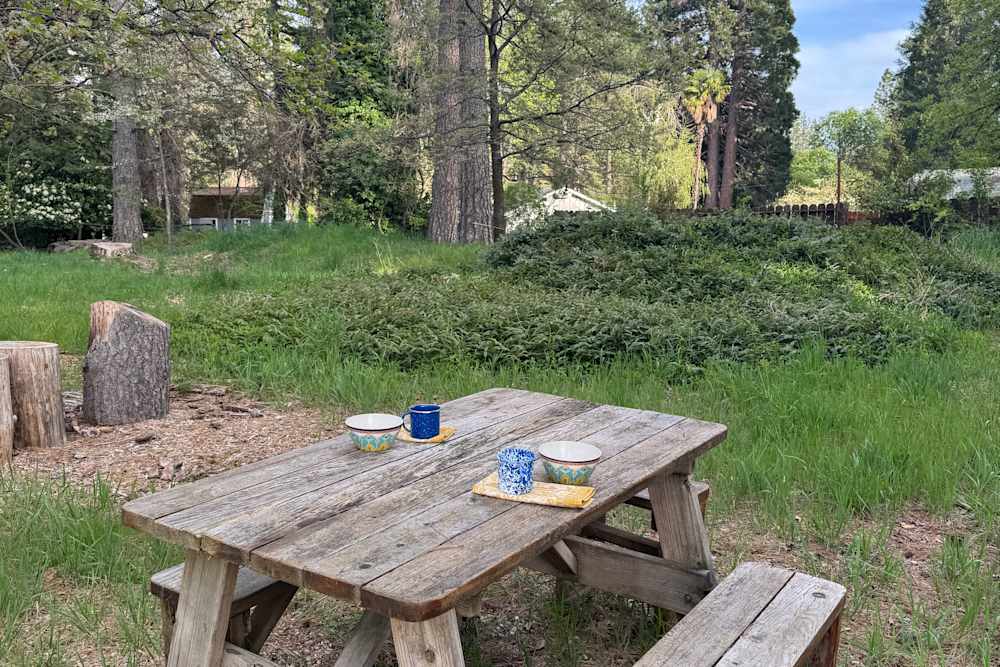 Shady In-Town Creekside Campsite