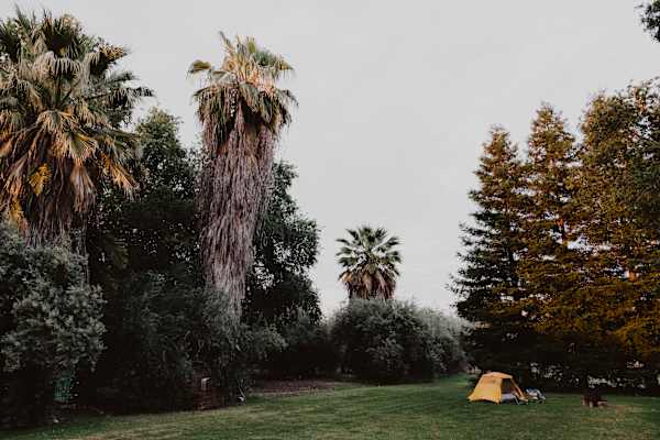 Blue Moon Orchard Retreat