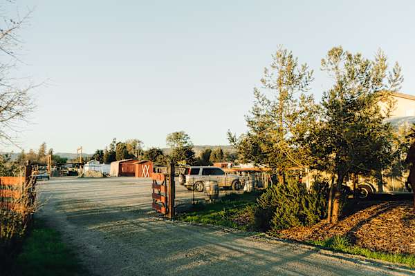 Pharo Pharms Organic Farm-
