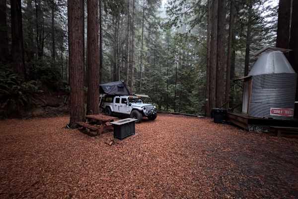 Whispering Redwood Creek