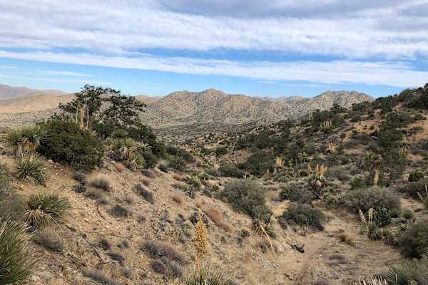 Tipi Canyon, Joshua Tree Nat’l Park