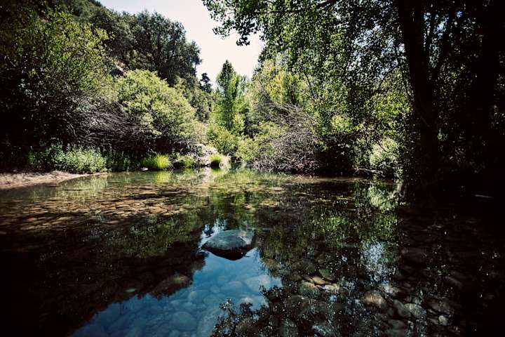 Hiking in los padres national forest sale