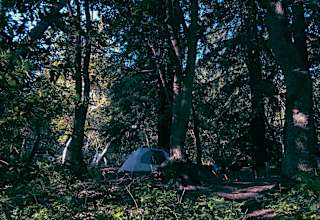 Pfeiffer Big Sur Campground Pfeiffer Big Sur Ca 60 Hipcamper Reviews And 118 Photos