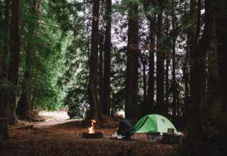 tent forest people