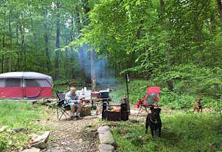 Rustic Campground Bald Eagle Park Pa 1 Hipcamper Review And 6 Photos